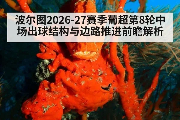 波尔图2026-27赛季葡超第8轮中场出球结构与边路推进前瞻解析（jiuyou game）